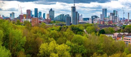 Manchester skyline with trees in the foreground