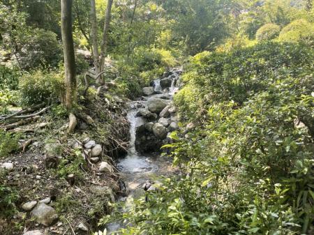 A small creek flows through a green and lush renatured landfill in Italy