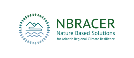 NBRACER logo - circle showing mountains and water