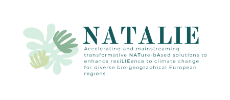 natalie logo with leaves overlay