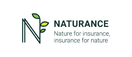 naturance logo - letter N with leaf detail