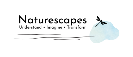 naturespaces logo - cloud with dragon fly