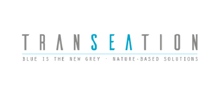 transeation logo - word written with "SEA" in blue
