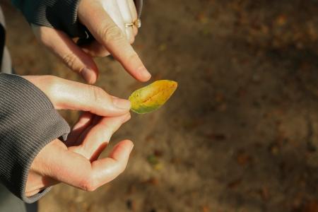 A person holding a leaf in one hand and pointing to it with the other