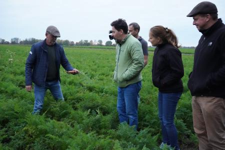 trans4num methods - out in the fields