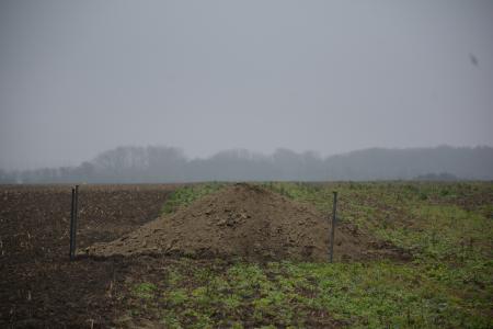 trans4num HU NBS Site