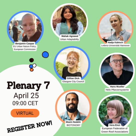 I4N Plenary 7 panel