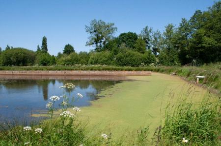 Restoring ecological continuity in Brittany 