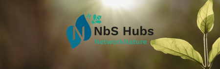 NBS Hubs banner