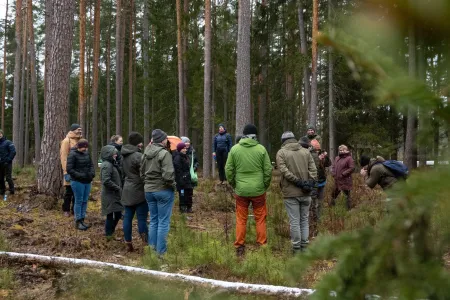 Scientists in a forest 
