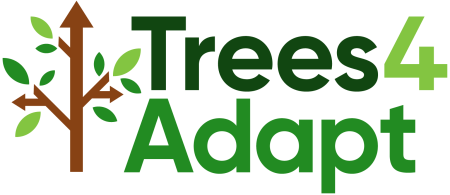 trees4adapt logo - trunk with brown upward pointing arrow