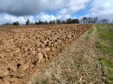 trans4num UK NBS Site