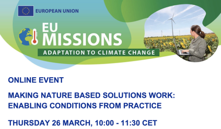 Making nature based solutions work