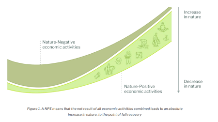 What is Nature-Positive economy?
