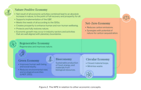 NPE in relation to other economic concepts