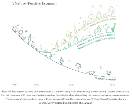 Operationalising NPE