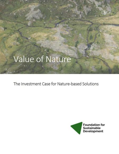 cover of the report