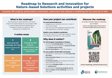 roadmap poster