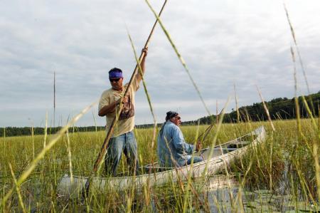 Join our 14th learning session featuring Rights of Nature by Tribal and First Nations, taking place on Wednesday, June 10, at 6 pm CEST | 5 pm BST | 12 pm EDT | 9 am PDT | 9:30 pm IST (Co-creation with the More-than-Human sandbox).