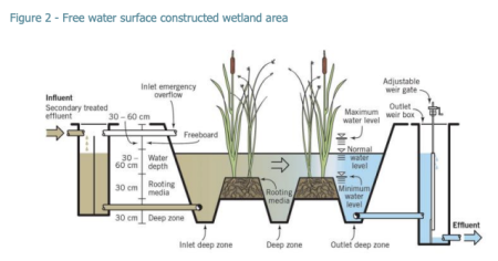 igure 2 - Free water surface constructed wetland area