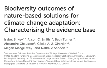 biodiversity outcomes of nature-based solutions for climate change adaptation