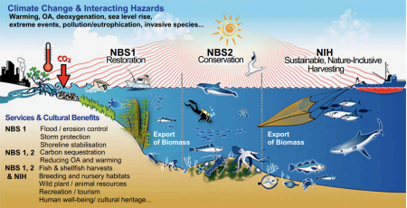Figure 1.1, Interacting stressors and hazards, and Services and Cultural Benefits of the two Nature-based Solutions (NBS) and Nature-inclusive (Sustainable) Harvesting examined in the FutureMARES program.