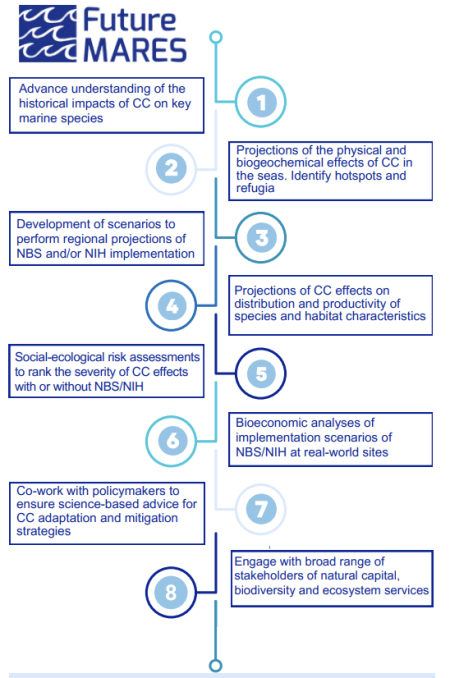 Figure 1.2, Actions and products of the EU FutureMARES program. Note, action point 7 occurred throughout the four years of the project.