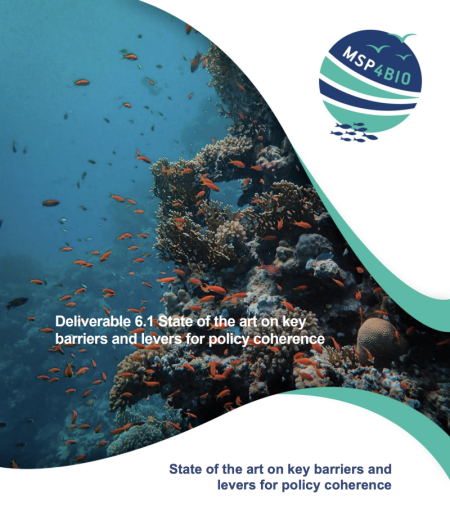 D6.1 State of the art on key barriers and levers for policy coherence