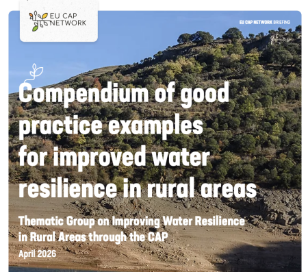Improved water resilience in rural areas - Compendium of good practice examples