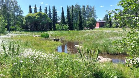city blues image - beautiful green space with stream winding into the distance of tree lined horizon