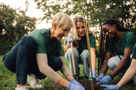 community action