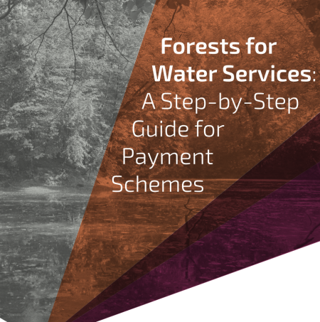 forests for water services a step by step guide