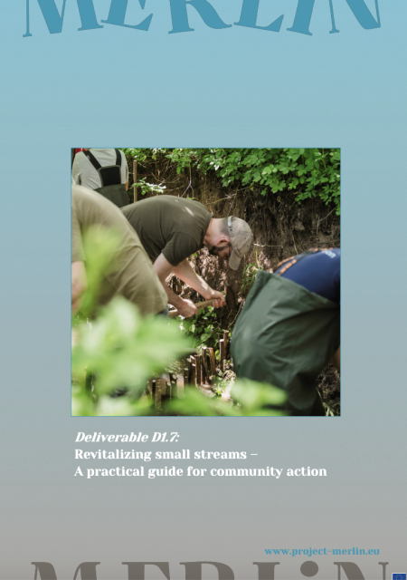Revitalizing small streams - A practical guide for community action