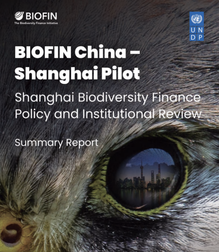 BIOFIN China Shanghai Pilot Shanghai Biodiversity Finance Policy and Institutional Review report cover with bird eye