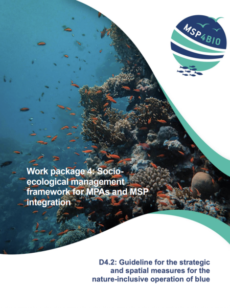 D4.2: Guideline for the strategic and spatial measures for the nature-inclusive operation of blue economy sectors report cover