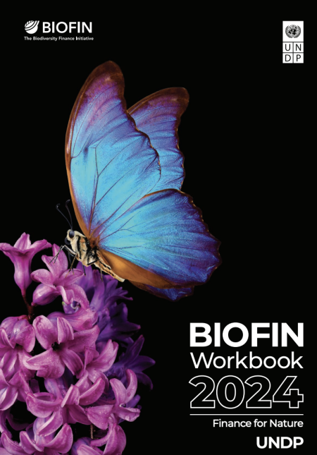 biofin workbook cover - black background with blue butterfly landing on purple flowers