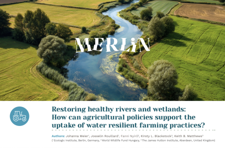 Common Agricultural Policy (CAP) - Design and Reform