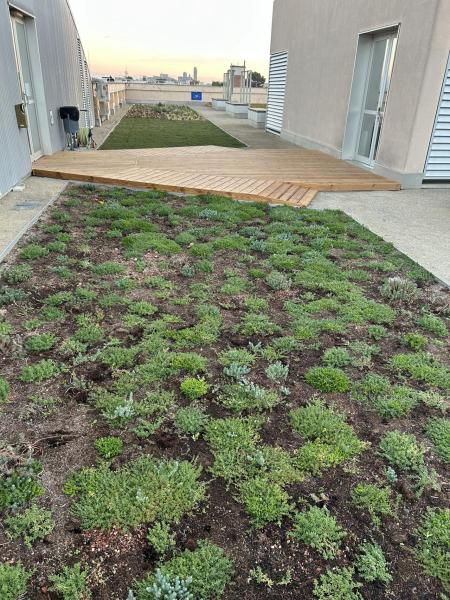 big4life in action - green planting 