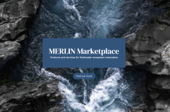 MERLIN marketplace cover