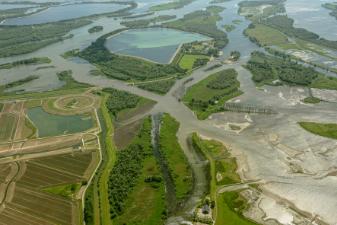 birdseye view of wetlands