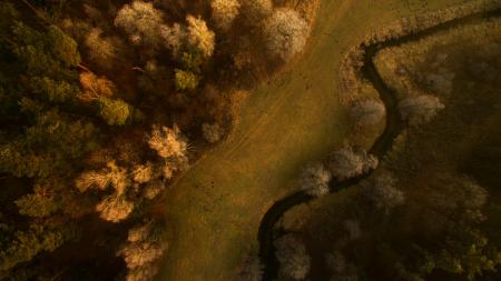 Aerial view of a forest and river