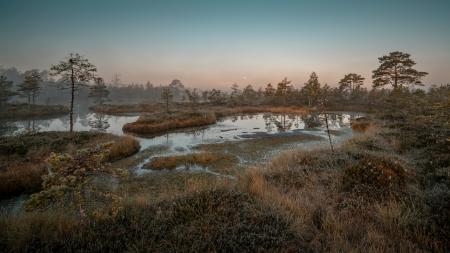 Wetland on a sunset