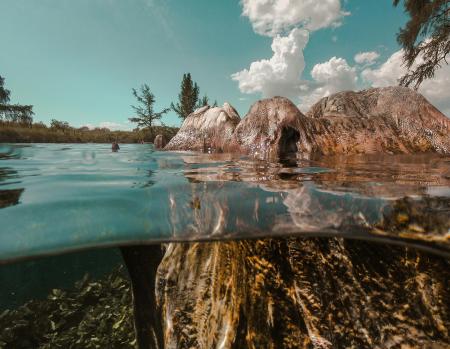 Half under, half above the water