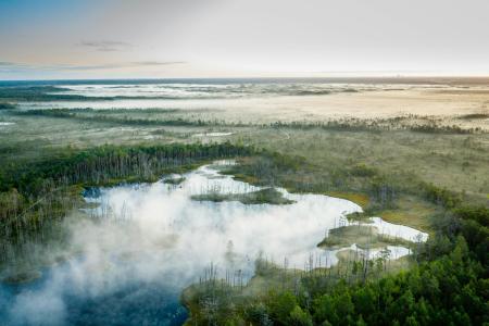 A foggy swamp aerial view on a sunrise