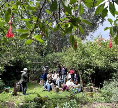 Fundación_Cerros_de_Bogotá people shrouded in green space 
