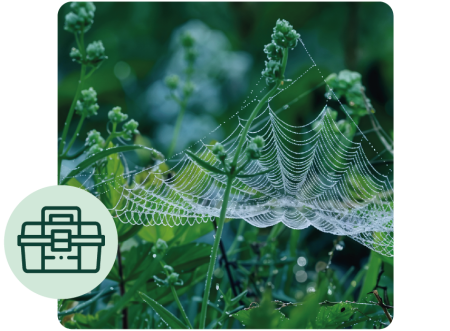 toolbox icon over the top of green shrub with spider web over the top