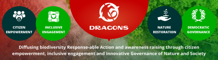 dragons banner
