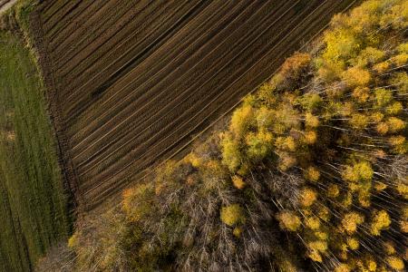 biodiversity loss birdseye view
