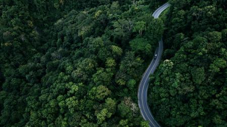 car driving down winding road surrounded by trees from birdseye view