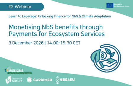 #2Webinar
